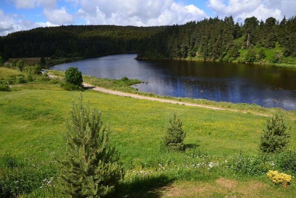 Appartement Dans Le Parc Du Pilat Marlhes Bagian luar foto